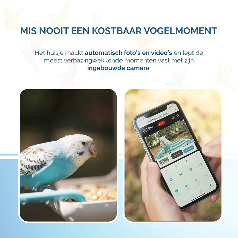 AI Bird Feeder met Camera - Afbeelding 9