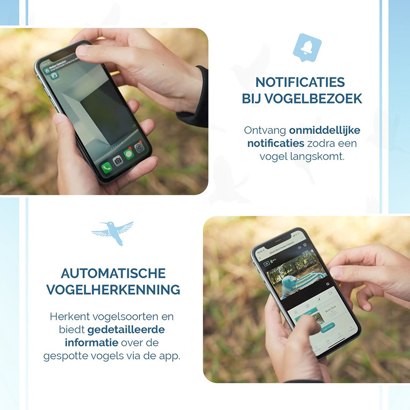 AI Bird Feeder met Camera - Afbeelding 3