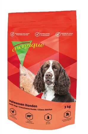 Energique Nr 1 Volwassen Hond