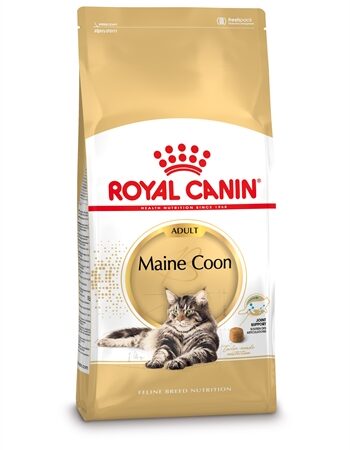 Royal Canin Maine Coon