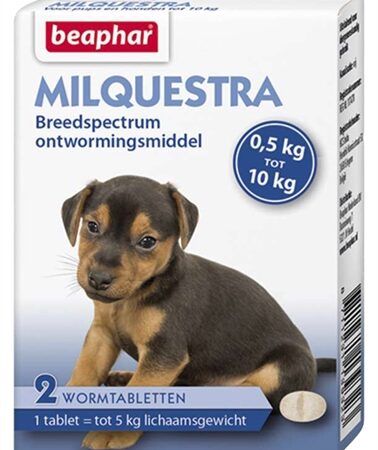 Beaphar Milquestra Kleine Hond / Pup