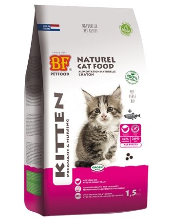 Bf Petfood Premium Quality Kat Kitten Pregnant / Nursing