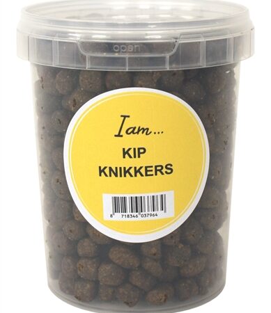 I Am Kip Knikkers
