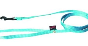 Martin Hondenriem Nylon Turquoise