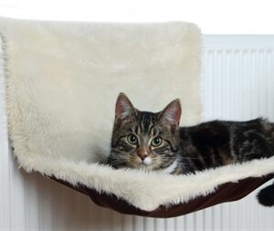 Trixie Radiatorhangmat Pluche / Velours Creme / Bruin