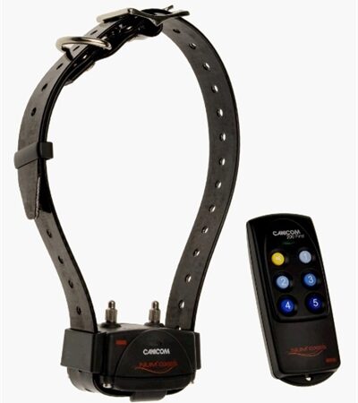 Numaxes Canicom 200 First Remote Trainer