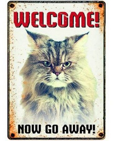 Plenty Gifts Waakbord Blik Grumpy Cat