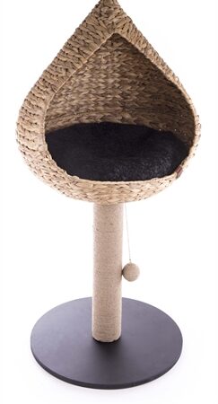 Martin Krabpaal Vietnam Met Mand Druppel Waterhyacint