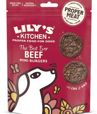 Lily's Kitchen Dog The Best Ever Beef Mini Burgers