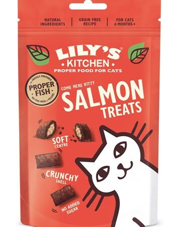 Lily's Kitchen Salmon Treats