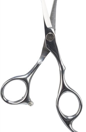 Trixie Professionele Gezicht-En Potenschaar Rvs