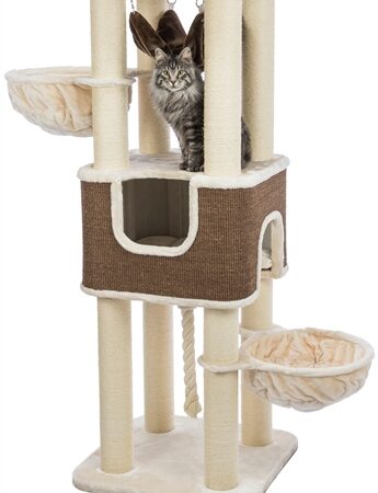 Trixie Krabpaal Xxl Humberto Creme / Donkerbruin