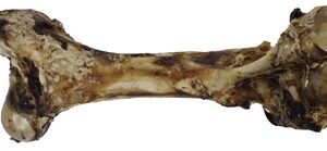 Petsnack Dinobot Xxl