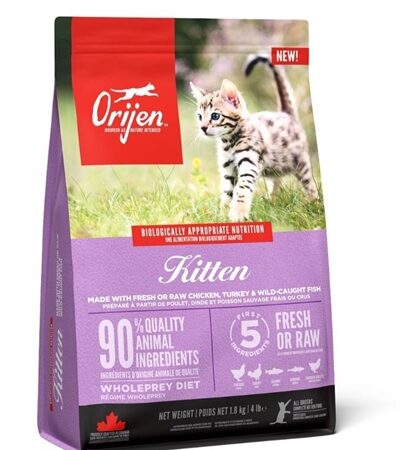 Orijen Kitten