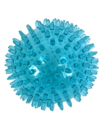 Zolux Pop Tpr Stekelbal Turquoise