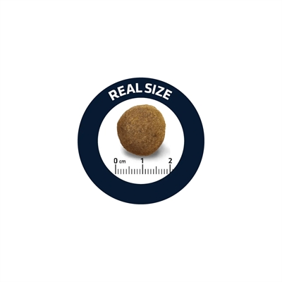 Advance Adult Duitse Herder - Afbeelding 2