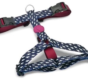 Morso Hondentuig H-Tuig Gerecycled Power Flow Zwart