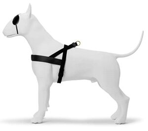 Morso Norwegian Hondentuig Gerecycled Gold Caviar Goud