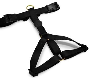 Morso Hondentuig H-Tuig Gerecycled Gold Caviar Goud