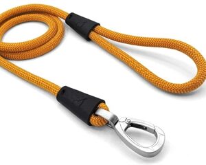 Morso Hondenriem Regular Rope Gerecycled Gold Goud