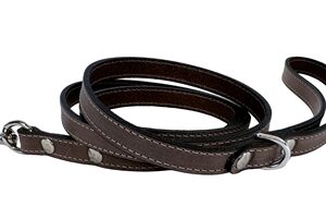 Sazzz Sa Hondenriem Fearless Vintage Leer Bruin