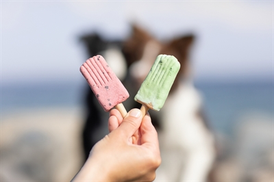 Trixie Ice Pop Rood - Afbeelding 6