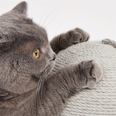 Fofos Krab Bal - Afbeelding 5