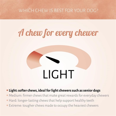 Antos Rawhide White Roll - Afbeelding 4