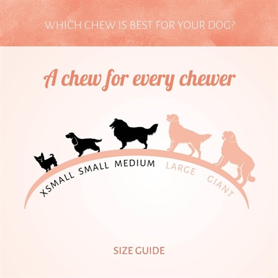 Antos Rawhide White Roll - Afbeelding 5