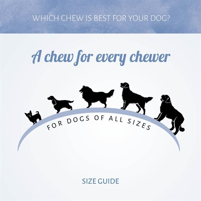 Antos Rolls Lam - Afbeelding 5