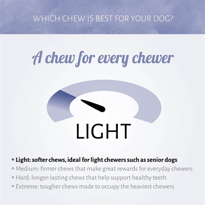 Antos Mini Bones Pens - Afbeelding 4