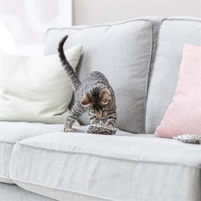 Trixie Speelkussen Leo Panterprint Met Valeriaan Assorti - Afbeelding 5