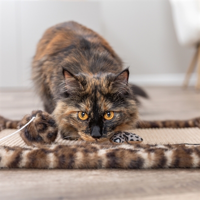 Trixie Krabmat Leo Panterprint Bruin - Afbeelding 6