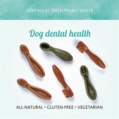 Antos Mixed Brush - Afbeelding 3