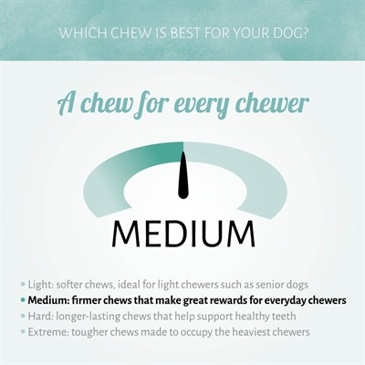 Antos Mixed Brush - Afbeelding 5