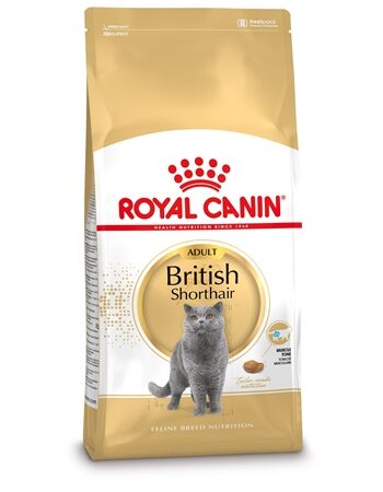 Royal Canin British Shorthair