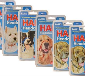 The Company Of Animals Company Of Animals Halti Headcollar Zwart