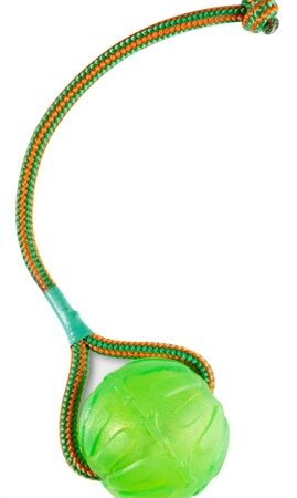 Starmark Swing 'N Fling Chew Bal Aan Koord