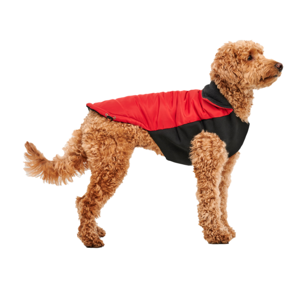 Goo-eez Mock Neck Signature Wrap Jacket XL Rood/Zwart