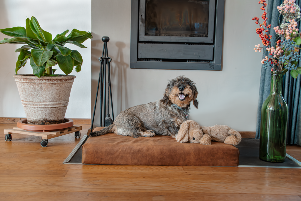 Let's Sleep Mellow Mattress Orthopedisch Kussen XL Cognac - Afbeelding 2