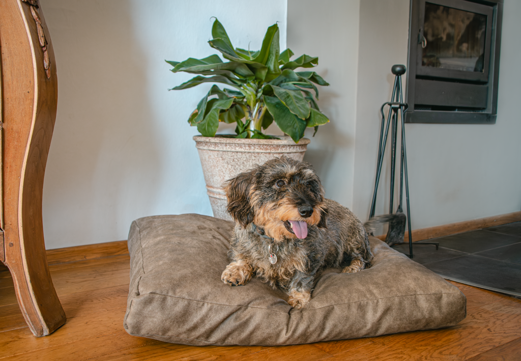 Let's Sleep Plush Pillow Hondenkussen XL Cognac - Afbeelding 3