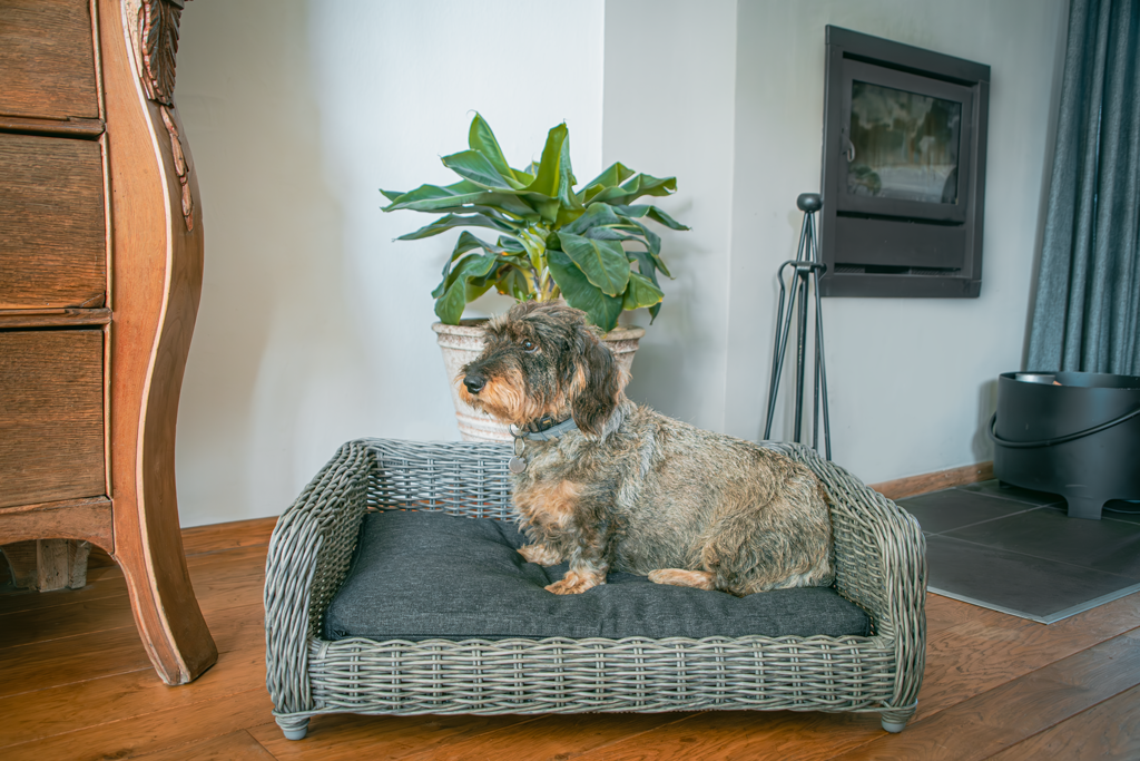Let's Sleep Cozy Basket Rieten Hondenmand M Antraciet
