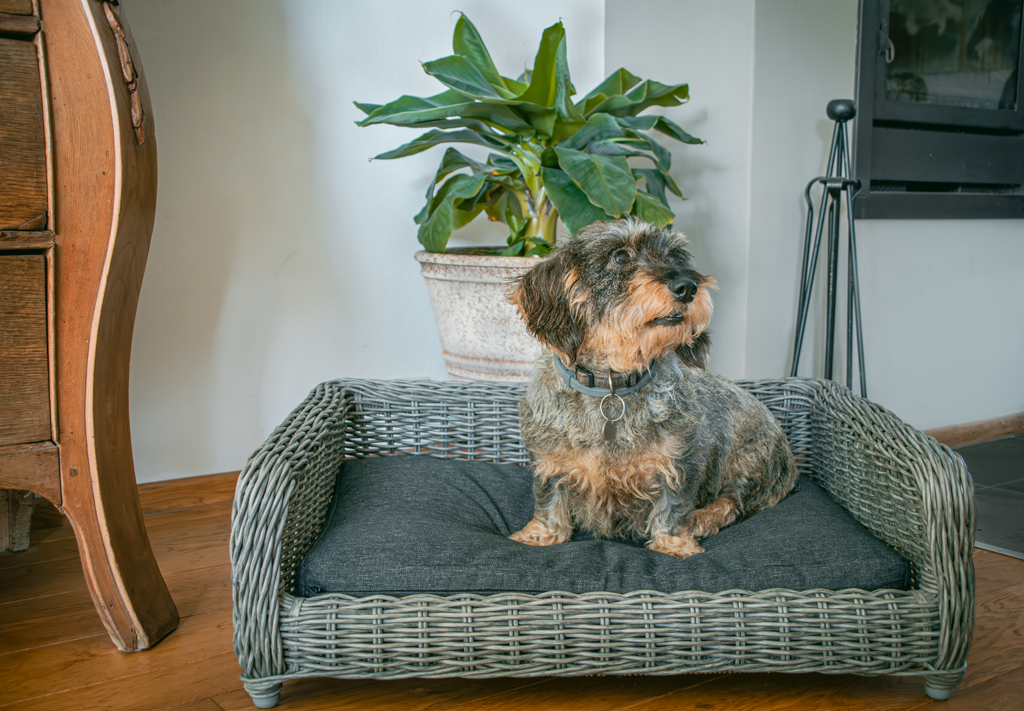 Let's Sleep Cozy Basket Rieten Hondenmand M Antraciet