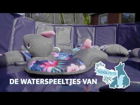 CoolPets Pull Me! Fishy Rope Flower - Afbeelding 3