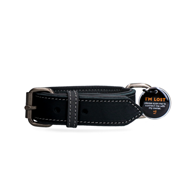 Spotted! Pro Leren Halsband Zwart 2,5 x 40 cm