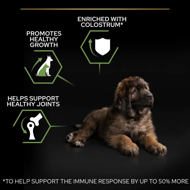 Pro Plan Puppy Large Breed Robuust Kip / Rijst - Afbeelding 3