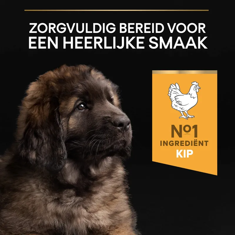 Pro Plan Puppy Large Breed Robuust Kip / Rijst - Afbeelding 4
