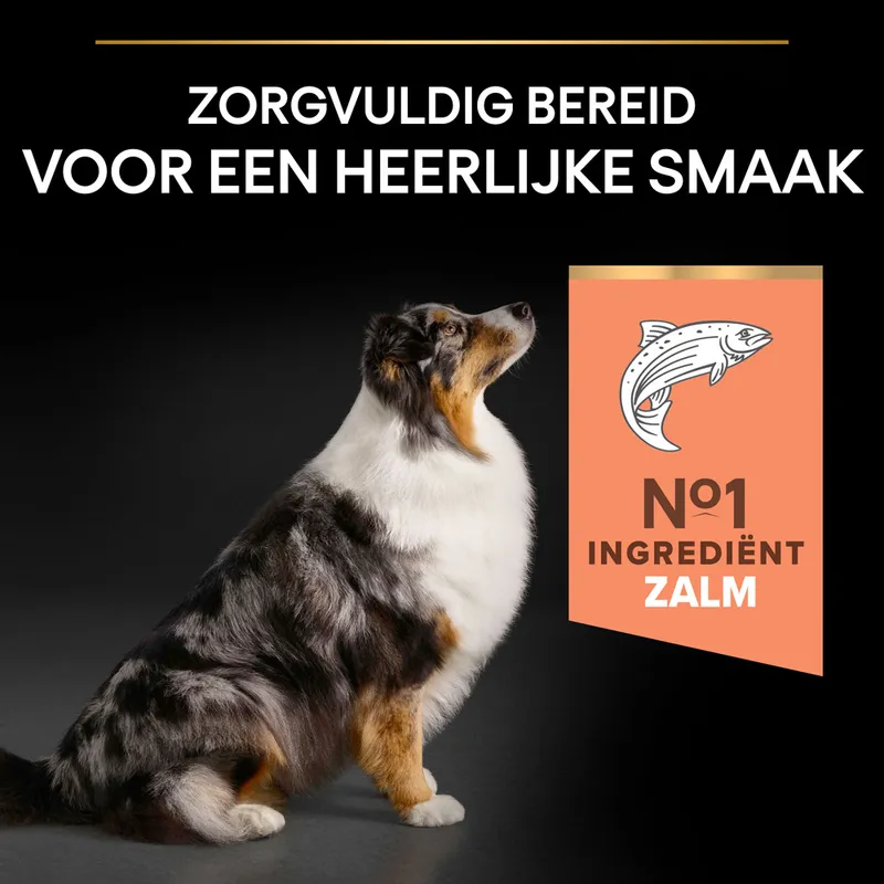 Pro Plan Dog Adult Medium / Large 7+ Sensitive Skin - Afbeelding 5