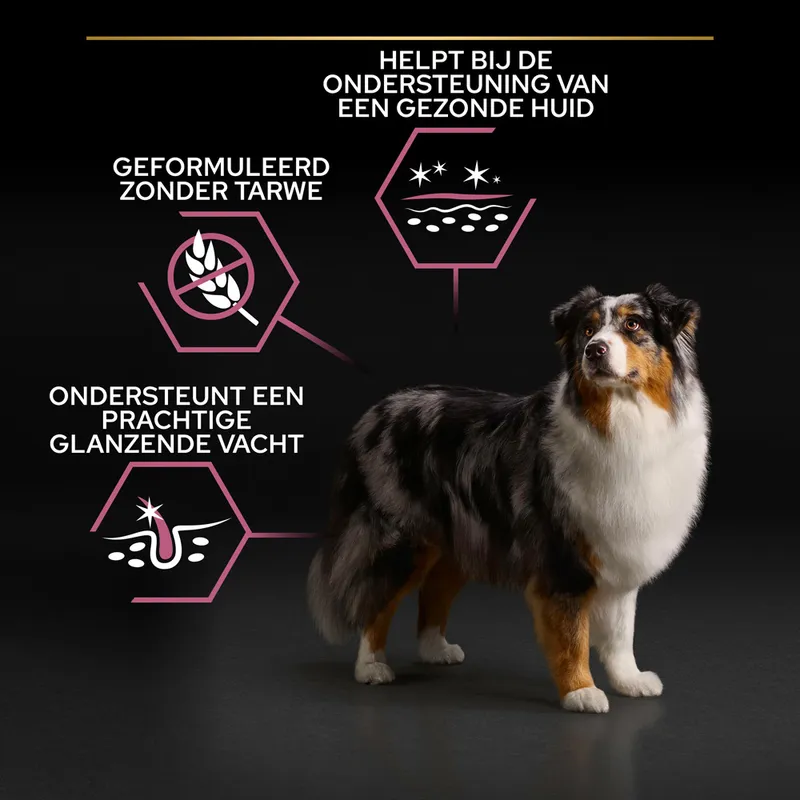 Pro Plan Dog Adult Medium / Large 7+ Sensitive Skin - Afbeelding 4