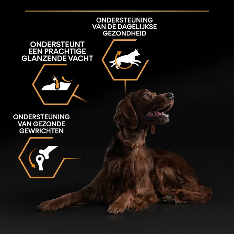 Pro Plan Dog Adult Large Breed Athletic - Afbeelding 8